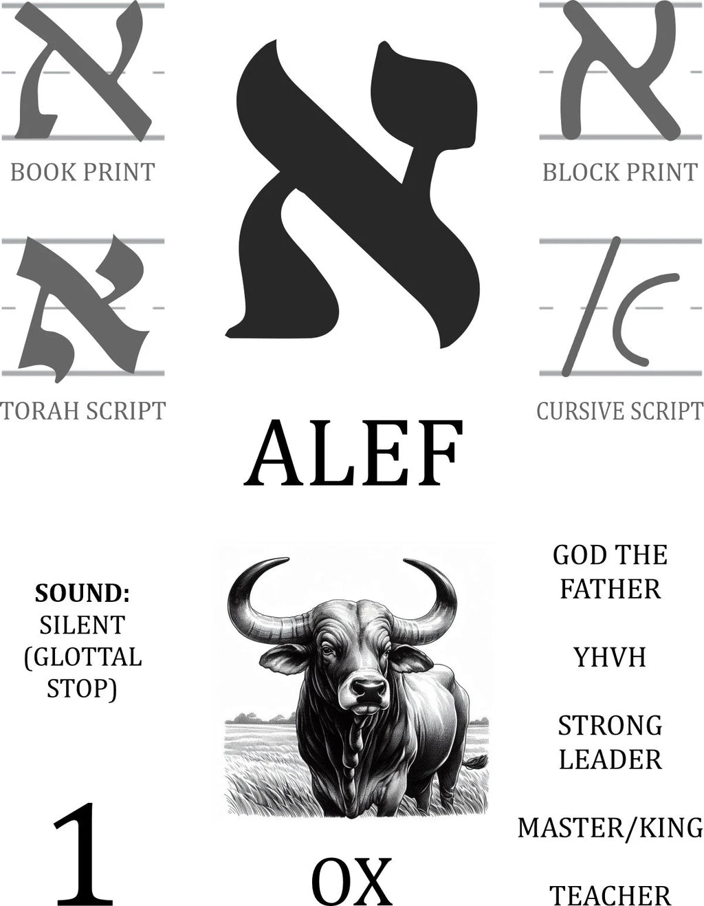 Hebrew Alphabet Flashcards