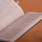 KJV, Gift and Award Study Bible, Red Letter Edition, Comfort Print