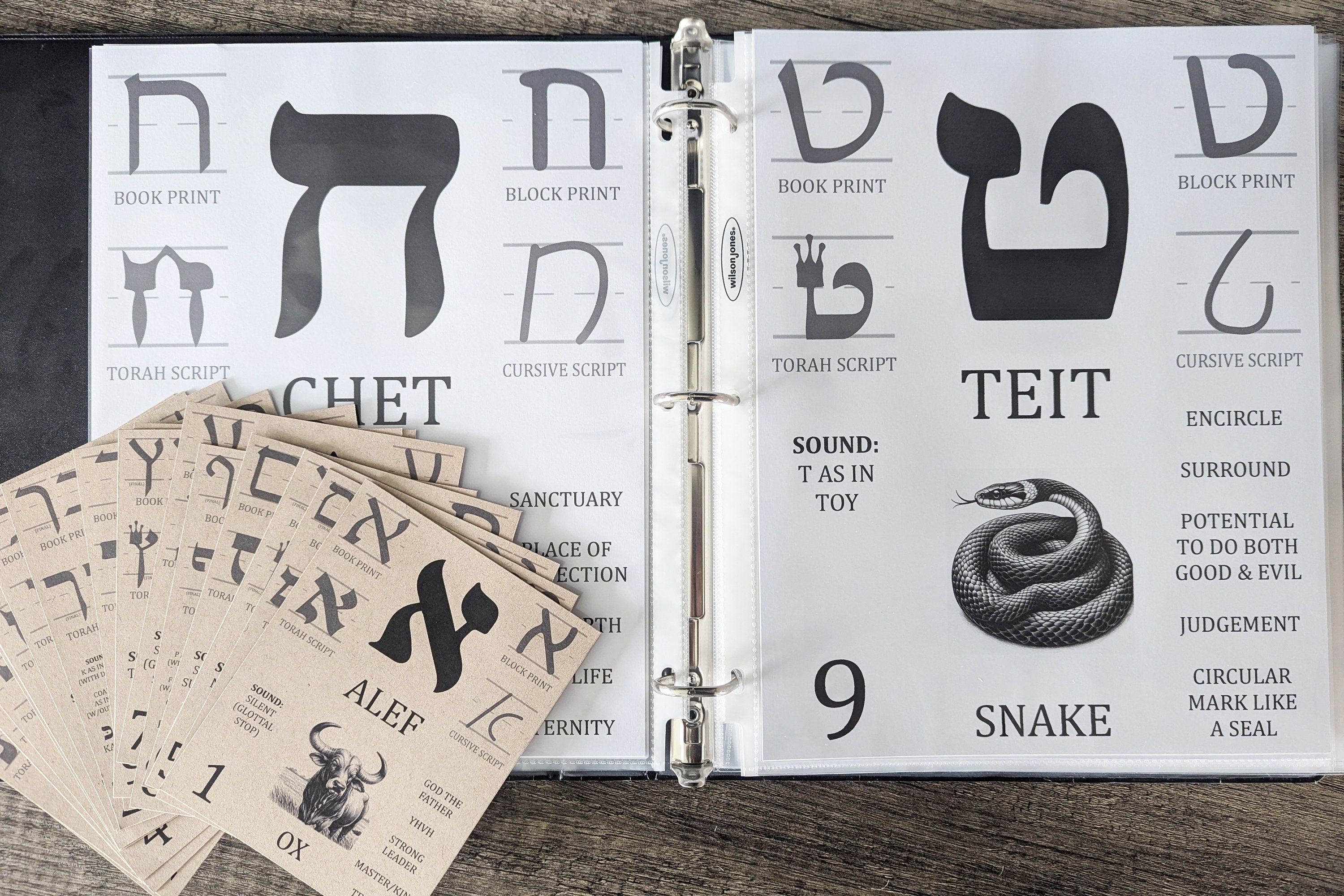 Hebrew Alphabet Flashcards